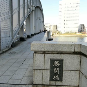 ウィルローズ築地