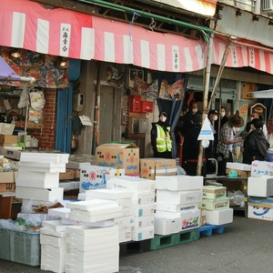 ウィルローズ築地