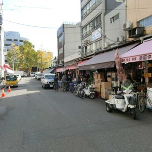 ウィルローズ築地