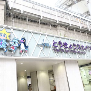 ライオンズガーデン錦糸町