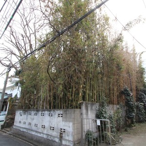 セザール代々木