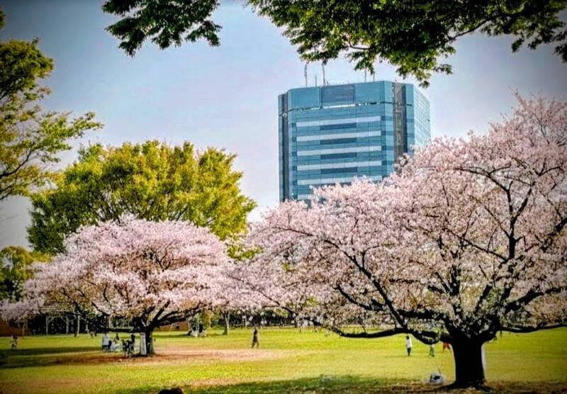 セントヒルズ木場公園7枚目