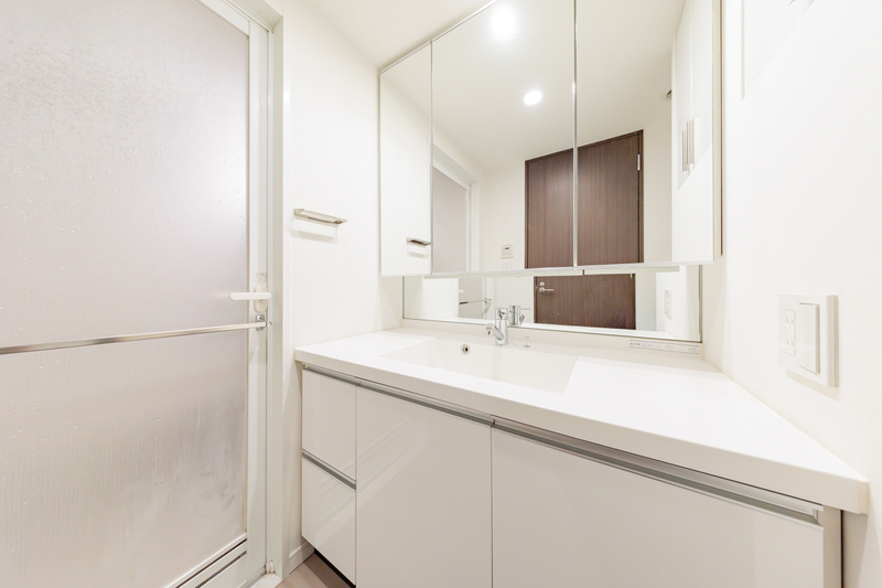 ザ湾岸タワーレックスガーデン_化粧室・脱衣所・洗面室_1枚目