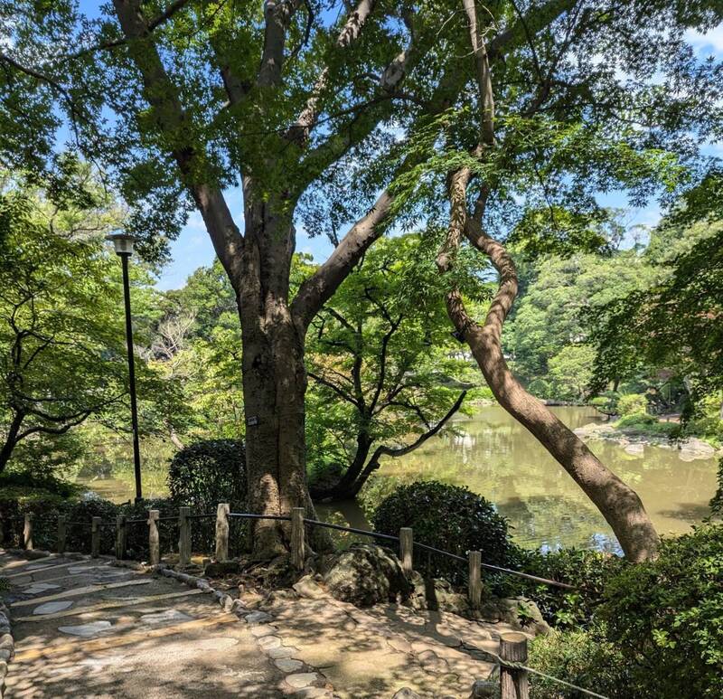 麻布霞町パークマンション_近くの公園・緑地_1枚目