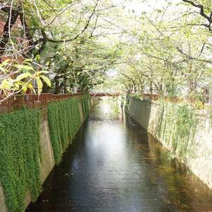 青葉台フラワーマンション