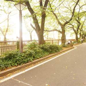 青葉台フラワーマンション