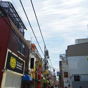 ザパークハウス中野タワー