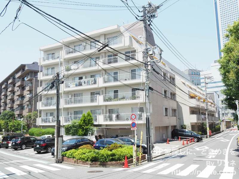 ソフトタウン代々木