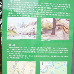 朝日九段マンション