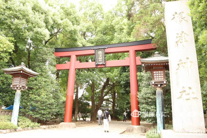 シーアイマンション根津弥生坂