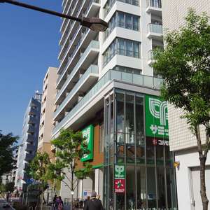 宮園キャピタルマンション