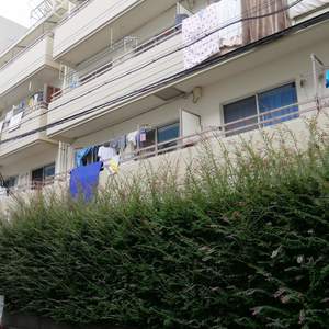 ストークマンション両国