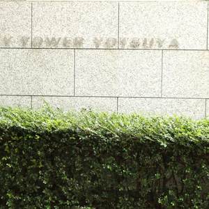 シティタワー四谷