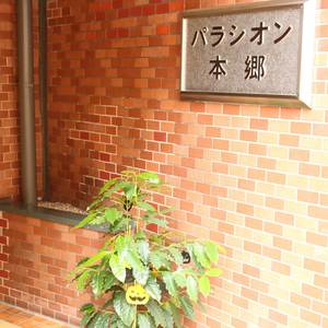 パラシオン本郷