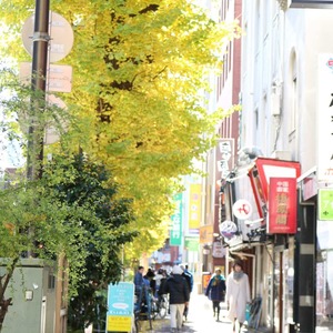 シティハイツ本郷