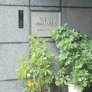 東京ビューマークス