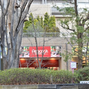 マンション第2恵比須苑