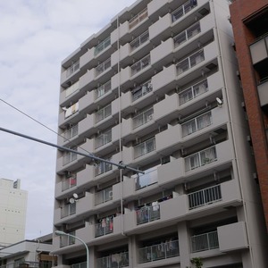 東駒形ハイデンス