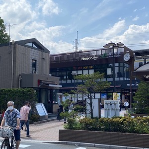 ビューネタワー平井