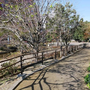 錦糸町ガーデニア