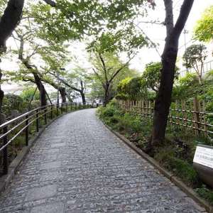 池田山ロイヤルマンション
