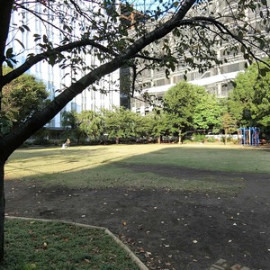 タワーレジデンス東京