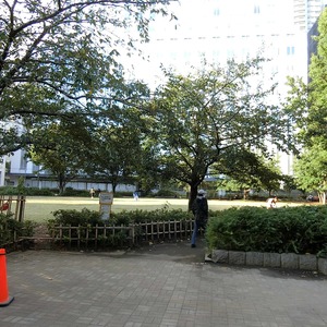 タワーレジデンス東京