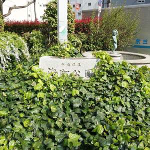 ブリリアンス日本橋浜町公園