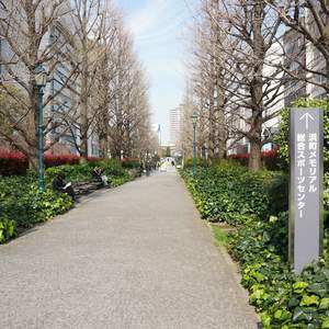 ブリリアンス日本橋浜町公園