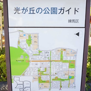 光が丘パークタウン春の風公園街